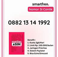 Esim Smartfren Tidak Bisa Digunakan